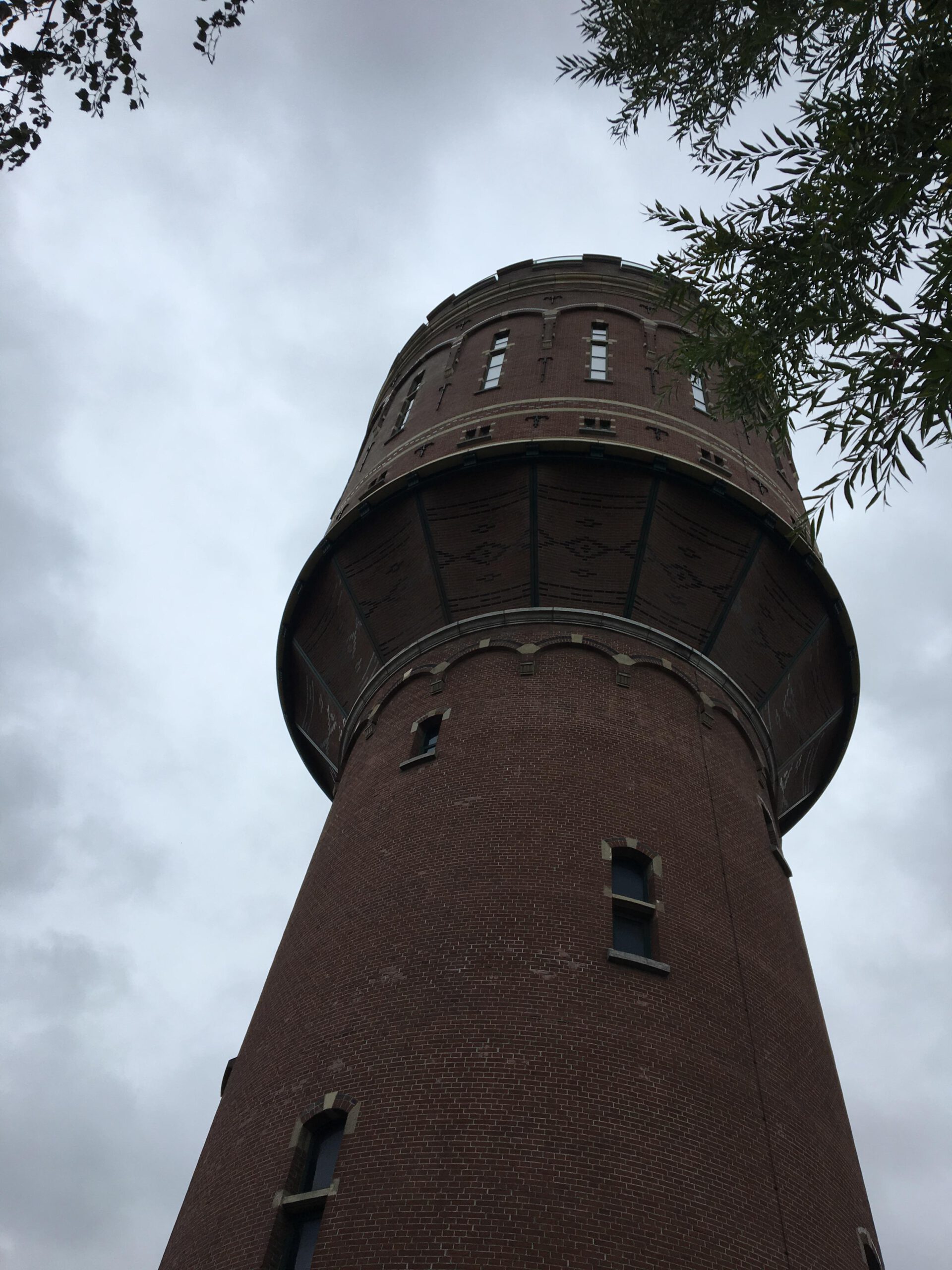 bestrijding clustervliegen watertoren Utrecht